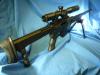 SIG Fass57 custom